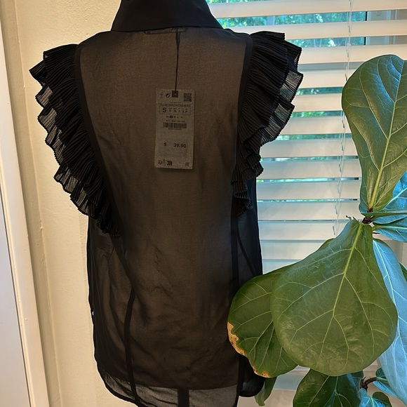 Zara Sheer Ruffle Top - Picture 4 of 5